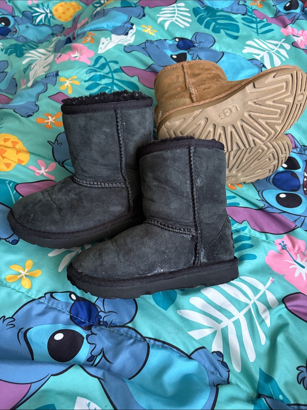 UGG Classic Short Boots - Chestnut and Black Pairs - Picture 8 of 16
